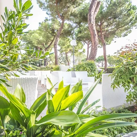 Ciccio Hotel