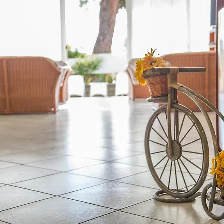 Ciccio Otel Misano Adriatico