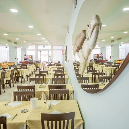 Ciccio Hotel Misano Adriatico