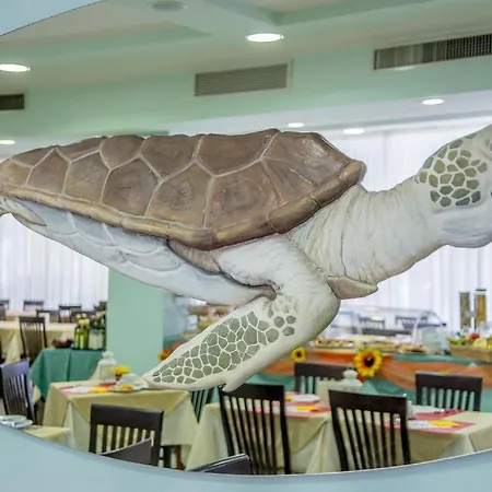 Ciccio Misano Adriatico