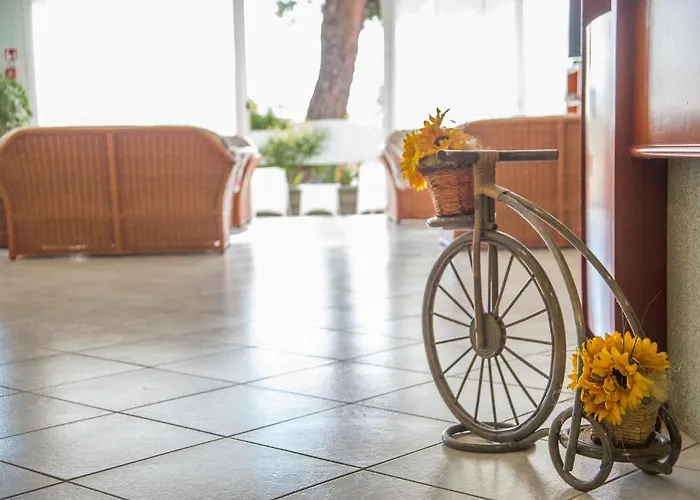 Ciccio Hotel Misano Adriatico