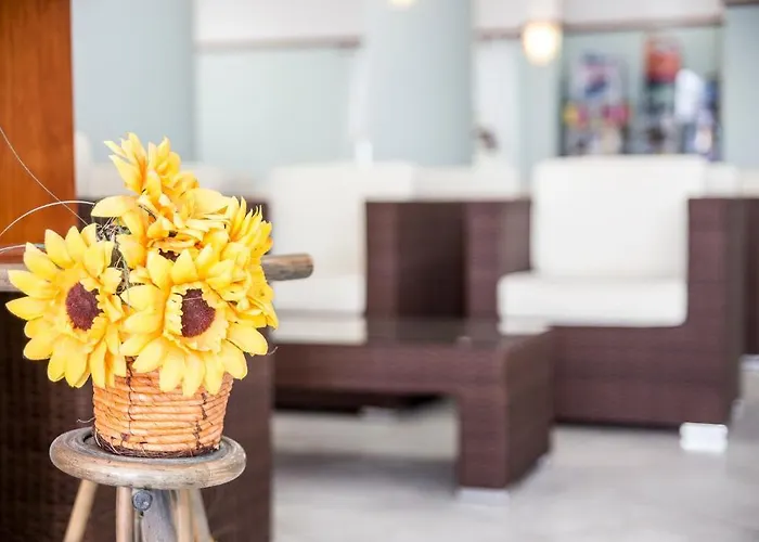 Ciccio Hotel 3*