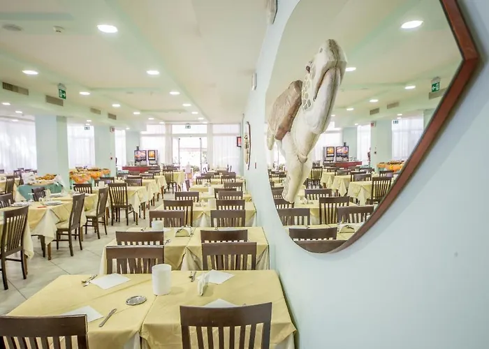 Ciccio Hotel Misano Adriatico