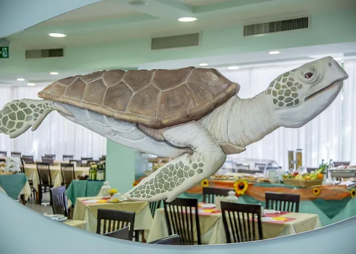 Ciccio Misano Adriatico